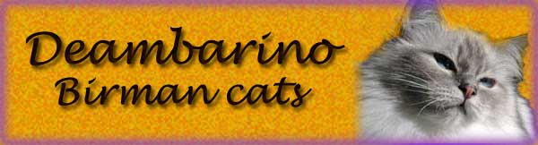 Deambarino Cattery